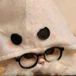 sean zhang Profile Picture